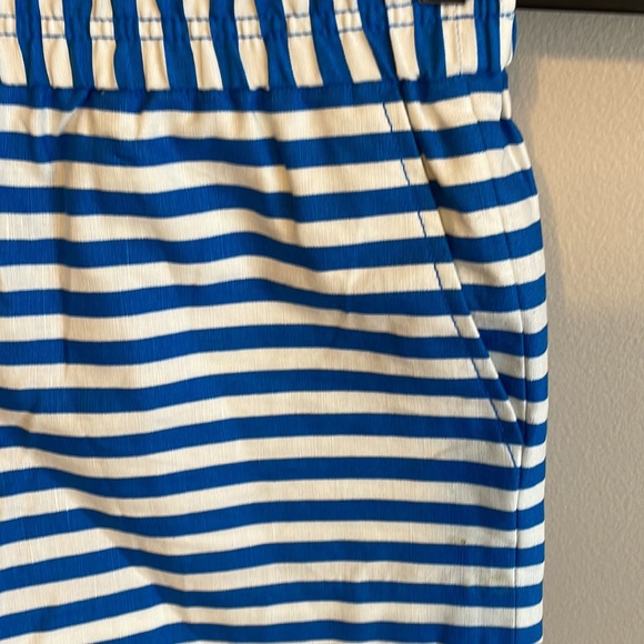 J Crew Royal Blue and White Striped Shorts - Picture 2 of 6